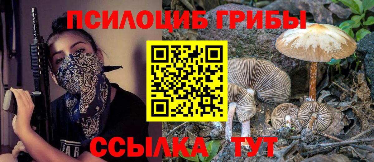 Псилоцибиновые грибы GOLDEN TEACHER Дербент
